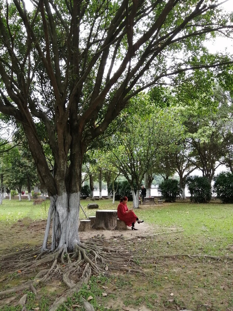 桃花湾广场