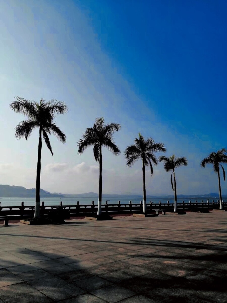 海边