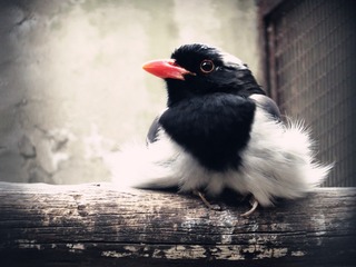 837