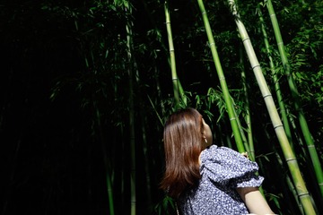 C65D3103-B977-4CE6-8D55-EEB4C22969E9/L0/001
