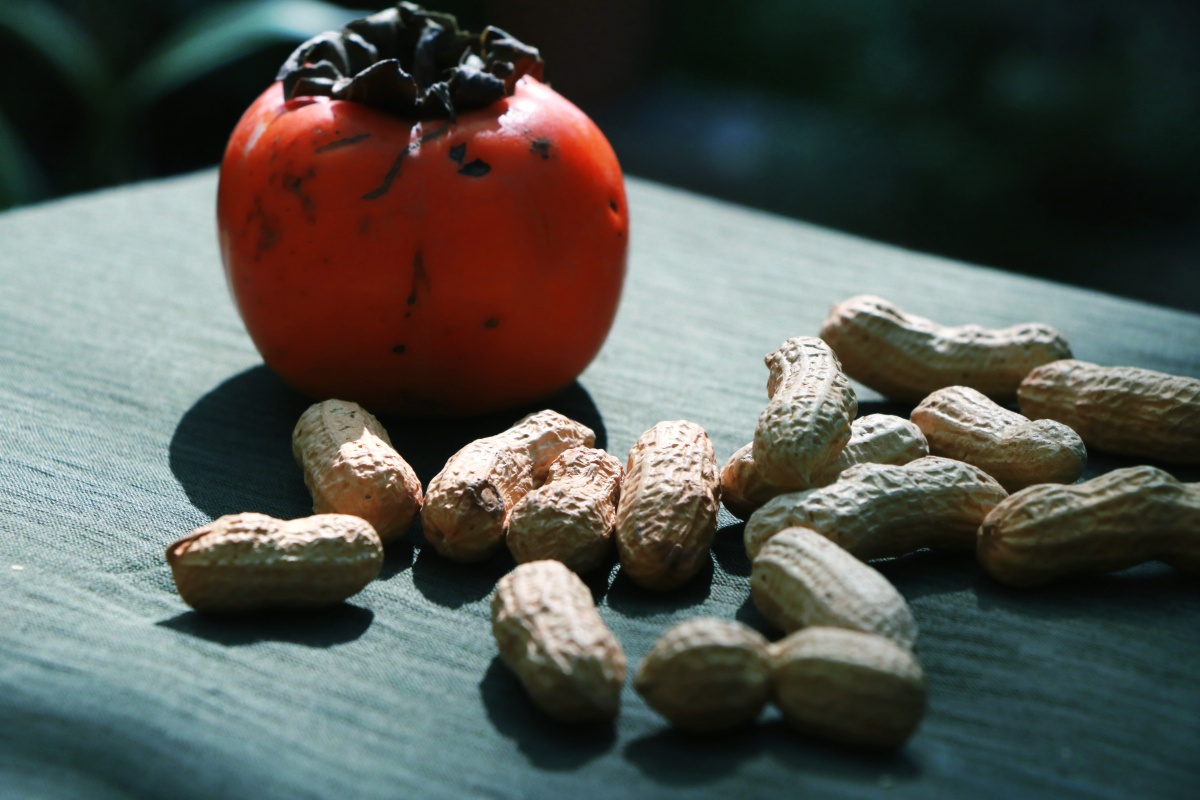 好事发生好柿花生