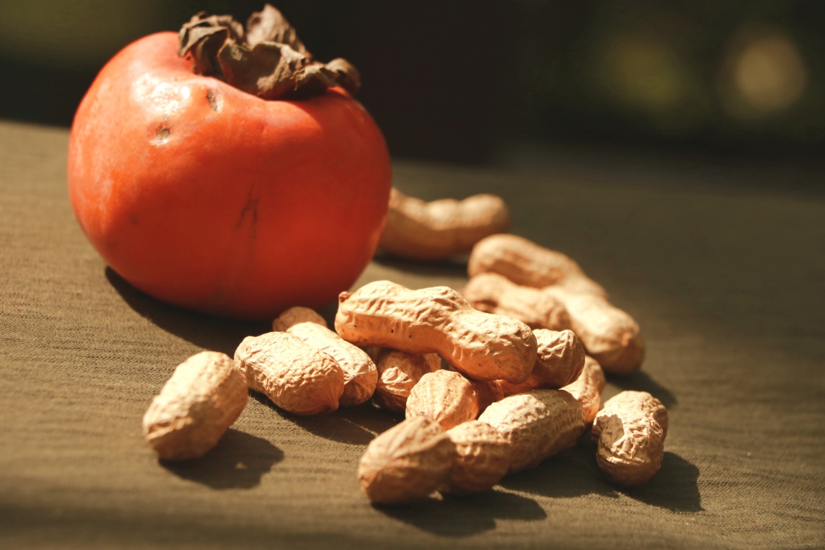 好事发生好柿花生