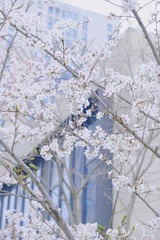 2499E0EC-260D-457E-B9C9-4103EB505590/L0/001