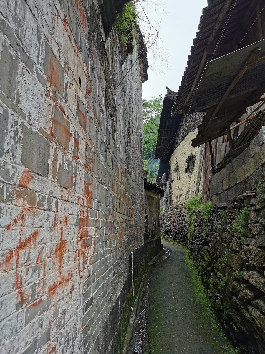 毛主席语录
