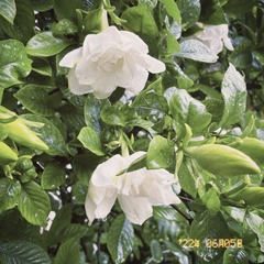 7D8DDA5B-5FC8-4193-B690-3F4439FD0B31/L0/001