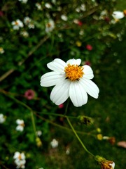 IMG_20190724_151335