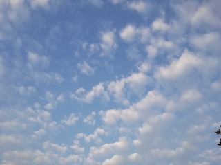 F0CEDA63-456D-48DC-AD09-B95F1D1EDACB/L0/001