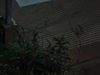 2001394