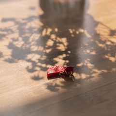 49545