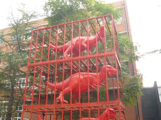 P1020262