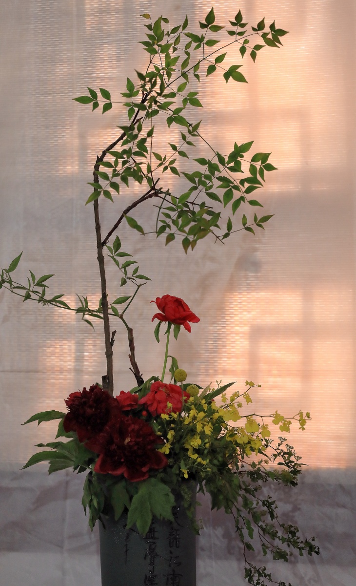 洛阳国际牡丹切花大赛作品
