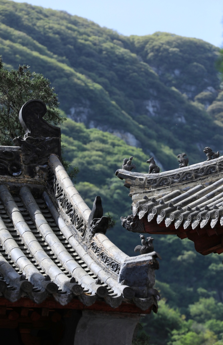 少林寺内赏建筑