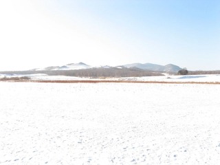 东北，雪