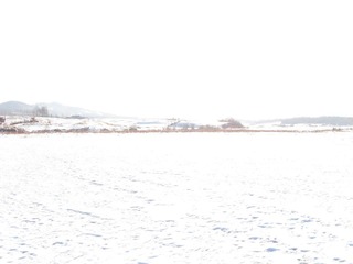 东北，雪