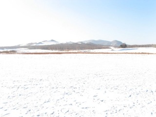 东北，雪