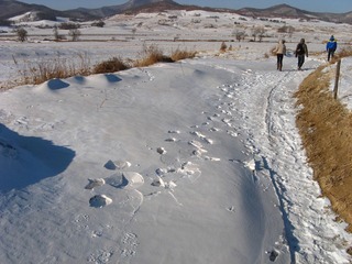 东北，雪