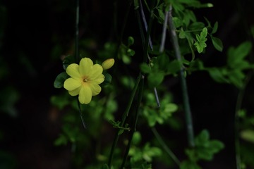 4F38338D-E726-4CB2-94A7-E6E03CCAA6A1/L0/001