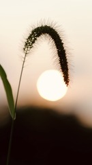 421C053C-B04C-45EB-8705-BF1507BCA812/L0/001