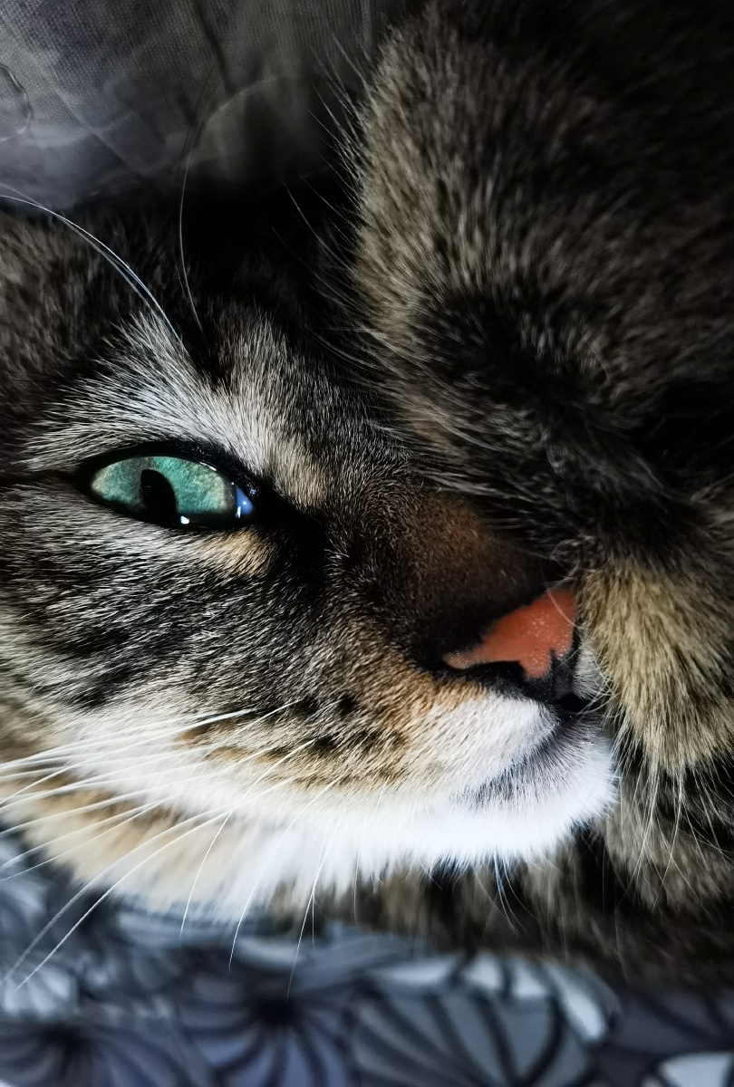 瞪大眼睛看世界