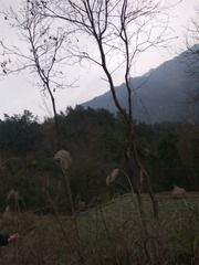 178020