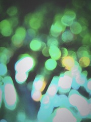 36E733C5-0B7B-42D5-945E-8420031089BA/L0/001