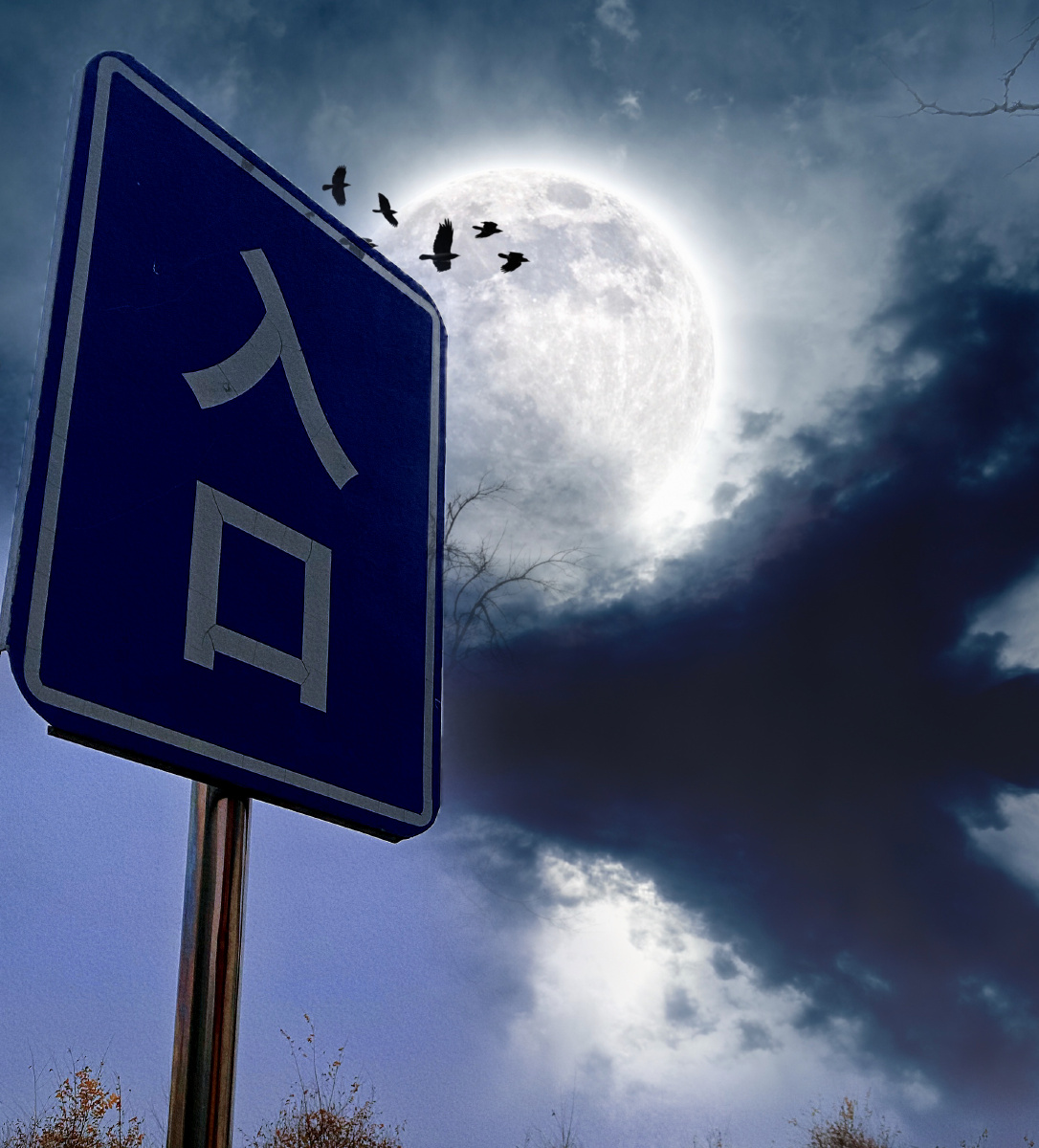 月黑风高夜!