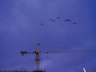 B5C6C257-15A4-4AD9-A6DD-BD5D1C189C36/L0/001