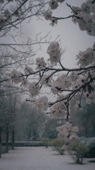 E9ABA8B2-55E9-465E-A4E8-7D2BFA6CEA7E/L0/001