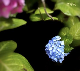 3A2EF0E7-DDEA-4FE0-9772-EF2DC3FFBC00/L0/001