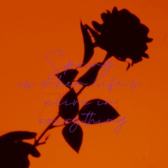 D065ABF8-3BA0-49E6-A699-D4EA130DA0D3/L0/001