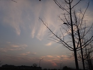 7CABB308-9F80-41CC-AFC2-36D024E80696/L0/001