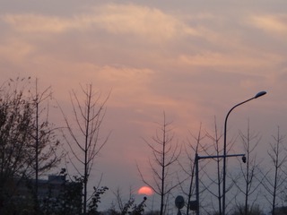 AD8D2108-474E-492F-91A1-DF7B1D425E72/L0/001