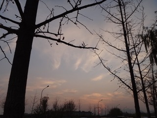 557DA971-3B4C-4832-9C9E-08AC02DF5653/L0/001