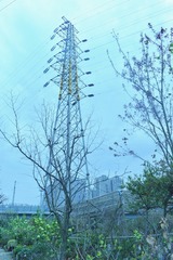 09D2C3CF-2948-4B4B-8AF2-6DA001B0513C/L0/001