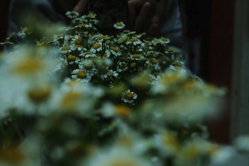 99A1BD00-F343-4750-81AA-ACFEE695C3CB/L0/001