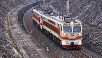 41631