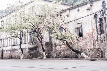 96EE6340-BCF3-478A-8487-15DCE5262BC0/L0/001