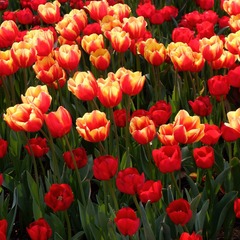 3491F58A-4AE9-493E-A966-61C7E3BDEFFB/L0/001