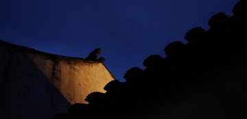 97D98351-C702-4D27-BAAF-36DB0F9F7477/L0/001