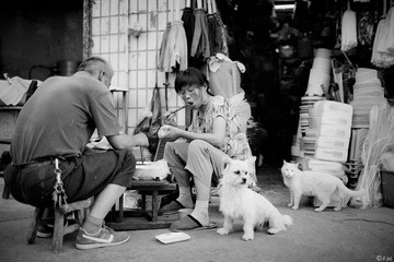 都市客