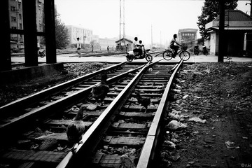 0020915_1.jpg