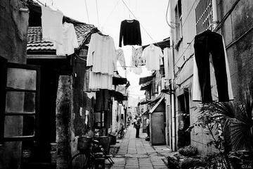 0250915_3.jpg