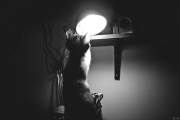 _1070894.jpg