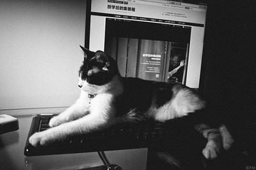 _1070890.jpg