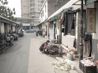 _1080160.jpg