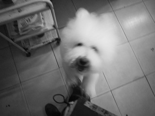 _1080288.jpg