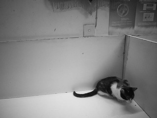 _1080264.jpg