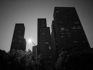 _1080253.jpg