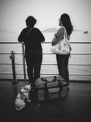 _1080169.jpg