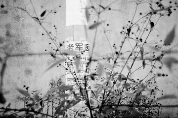 0581021_1.jpg